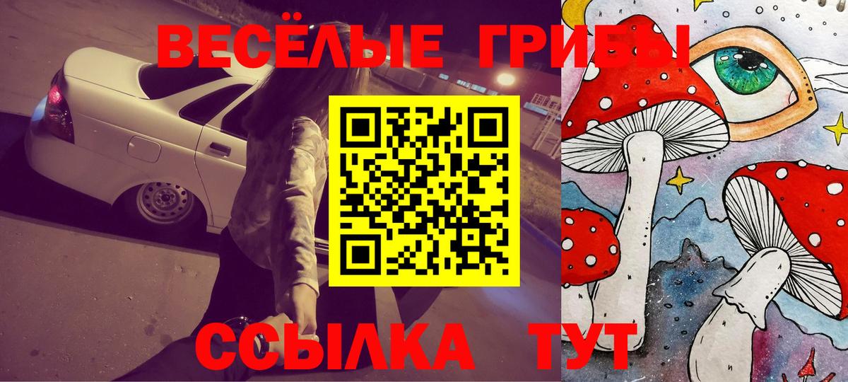 Кропоткин  Псилоцибиновые грибы Psilocybine cubensis  Вход с VPN 