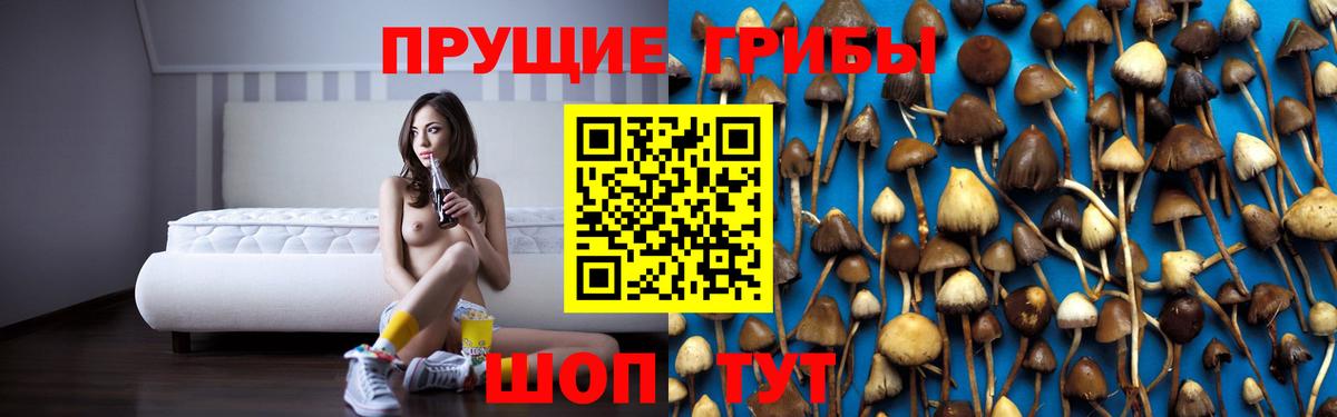 Галлюциногенные грибы прущие грибы Кропоткин